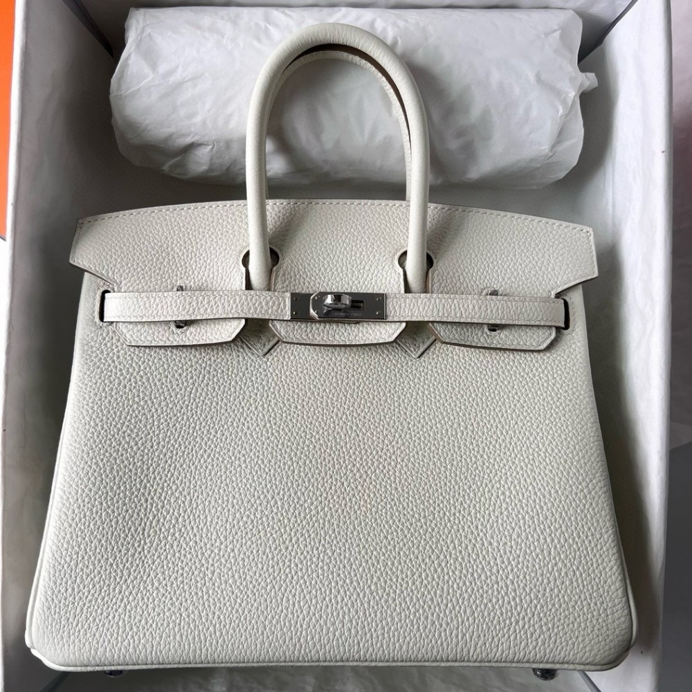 Hermes Birkin 25 Handmade Bag In Mushroom Clemence Leather